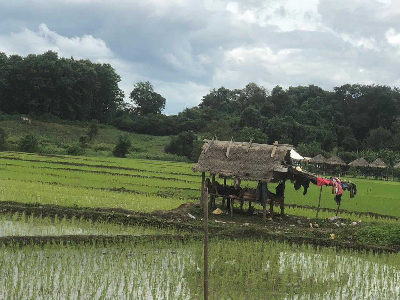 22 Days Hanoi Cycling to Luang Prabang and to Chiang Mai